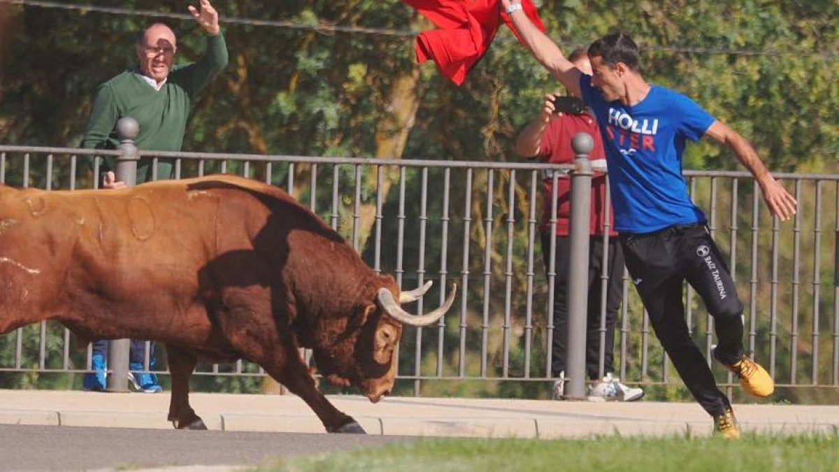 Imagen de archivo del Toro de la Vega 2024 de Tordesillas, donde un participante resultó corneado.