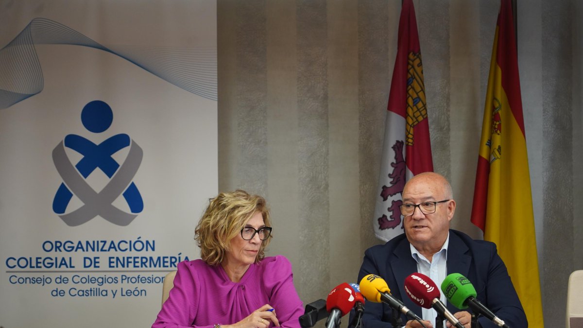 El presidente del Consejo Autonómico de Enfermería de Castilla y León, Enrique Ruiz Forner, y la secretaria general, Isabel Galán Andrés, en la presentación del informe