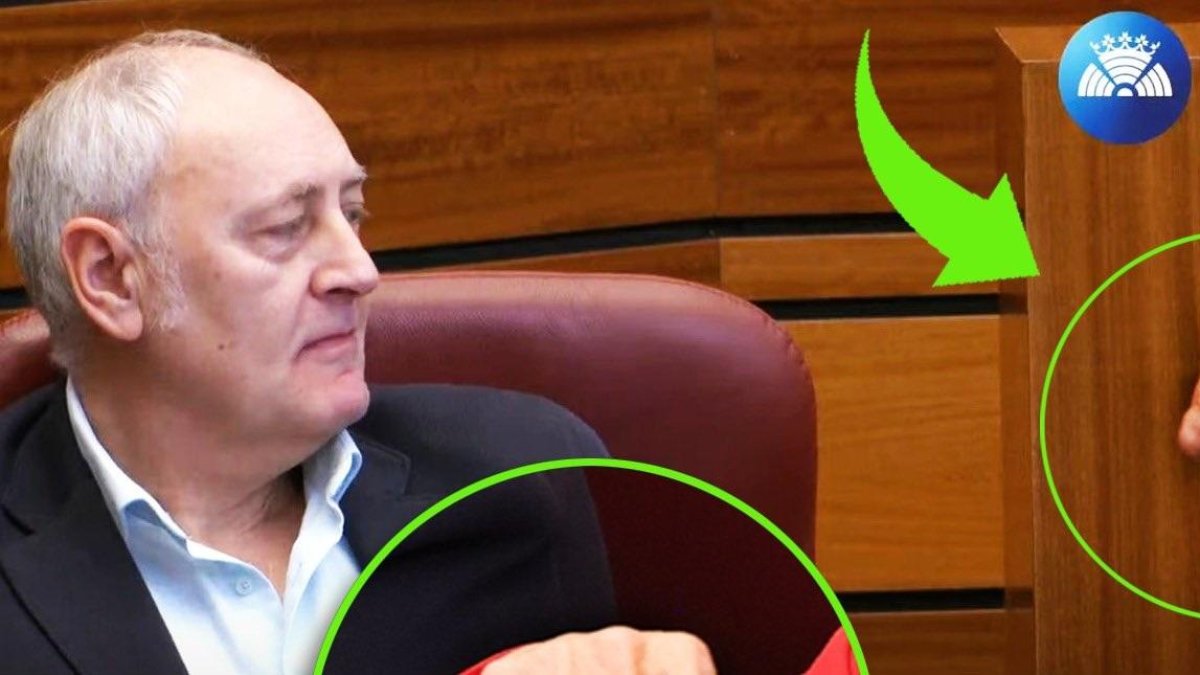 Peineta de la procuradora del PSOE, Isabel Gonzalo, durante la intervención de Juan García-Gallardo
