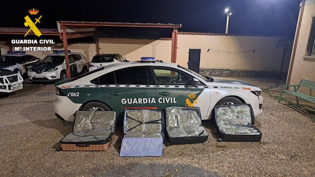 Imagen de la marihuana incautada por la Guardia Civil