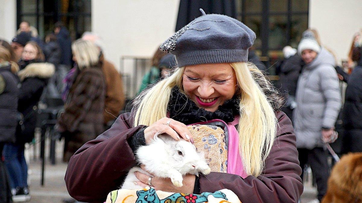 Los leoneses acuden con sus mascotas a la tradicional bendición de San Antón en la parroquia de San Marcelo. ICAL