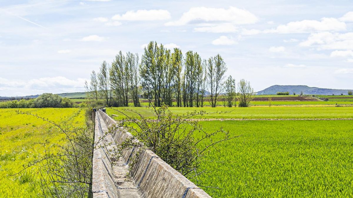 La modernización del Campillo de Buitrago sigue pendiente décadas después.