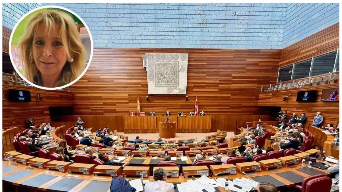 María Isabel Pérez Martín en miniatura y una imagen del interior de las Cortes en un pleno