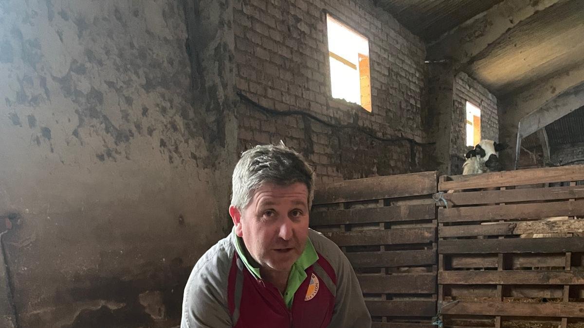 José Luis tiene 500 ovejas churras en Cilleruelo de Abajo.