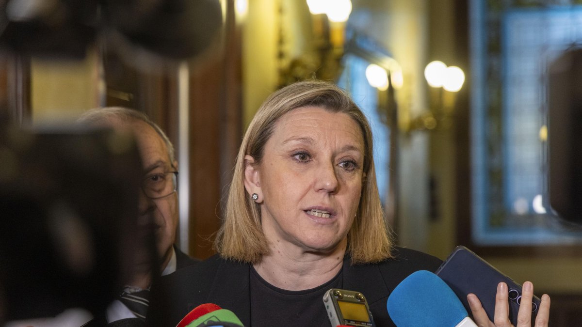 La vicepresidenta de la Junta de Castilla y León y consejera de Familia e Igualdad de Oportunidades, Isabel Blanco.