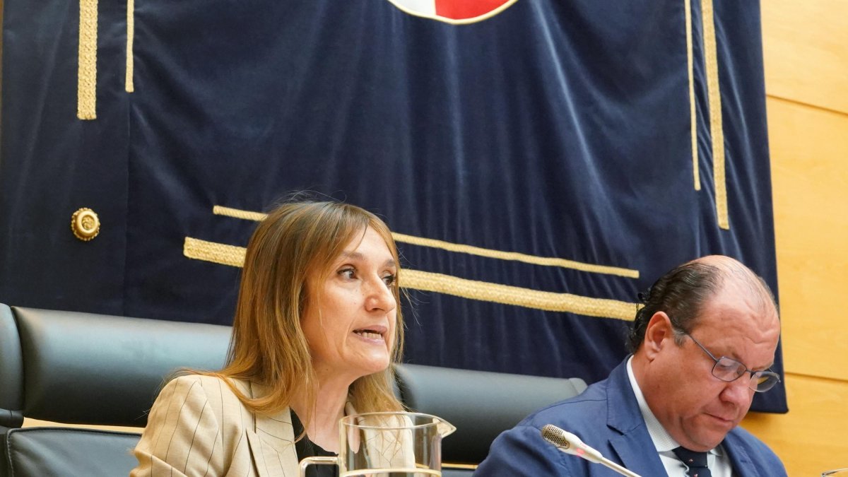 La consejera de Educación, Rocío Lucas, durante su comparecencia en Las Cortes.