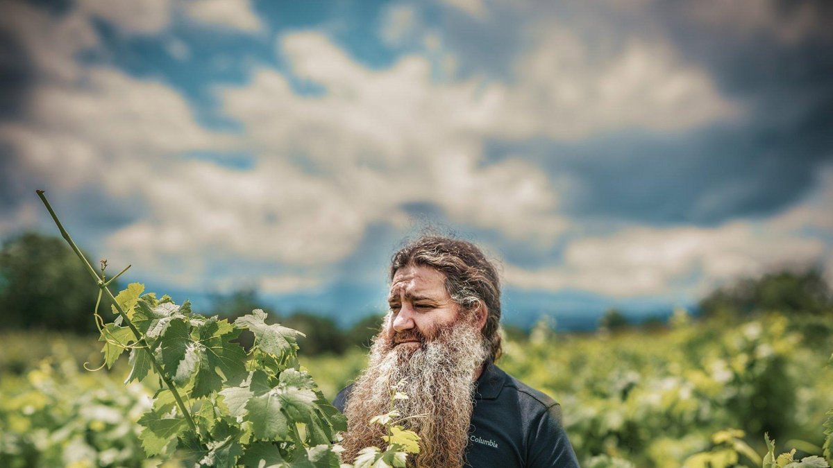 El viticultor berciano Raúl Pérez.