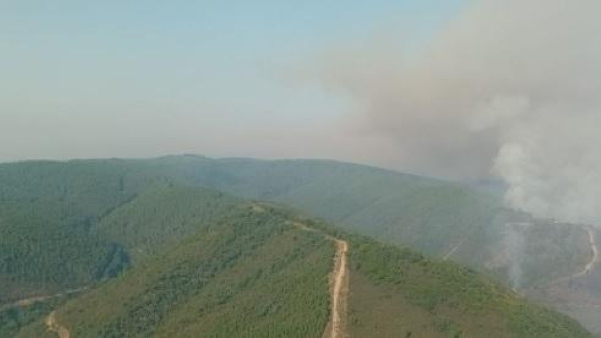 Incendio de Paradiña en El Bierzo