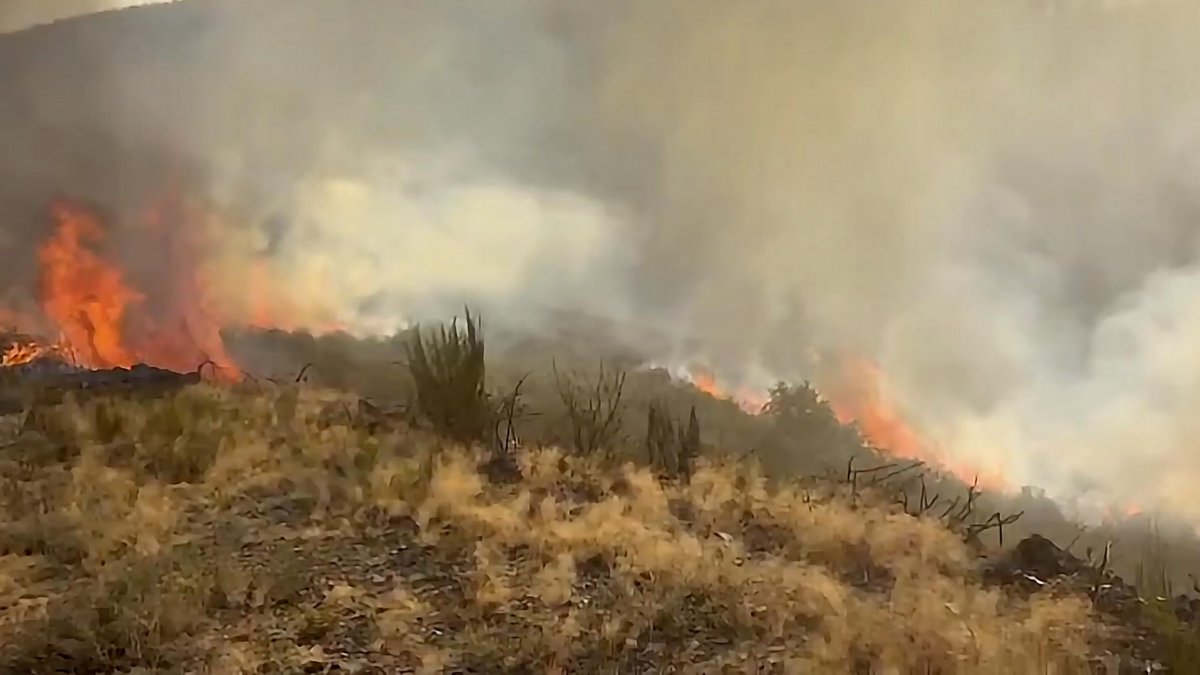 Imagen de archivo de los incendios en Castilla y León