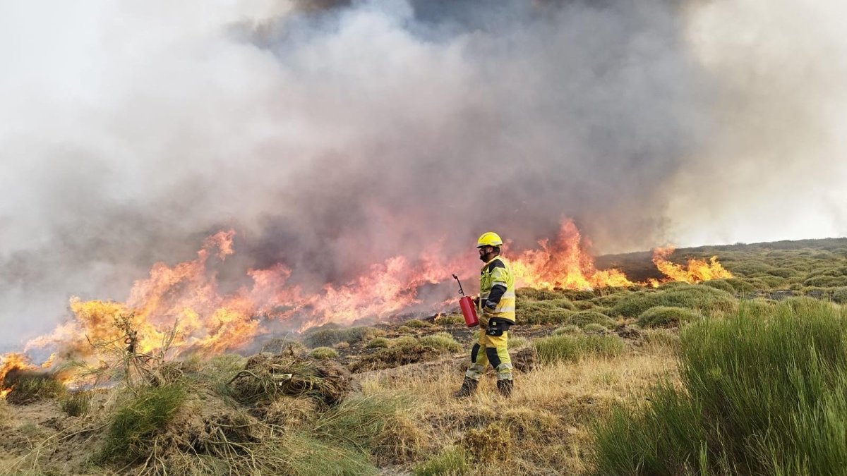 Bomberos forestales en la extinción de los incendios de Castilla y León