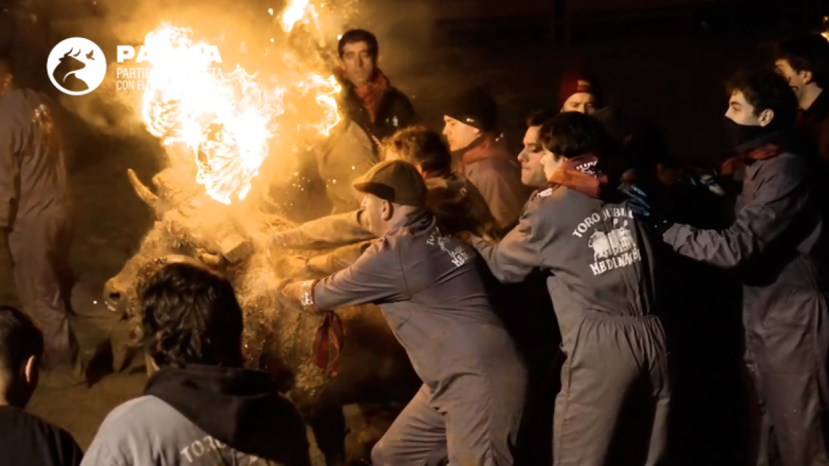 Celebración del Toro Júbilo en Medinaceli en Soria