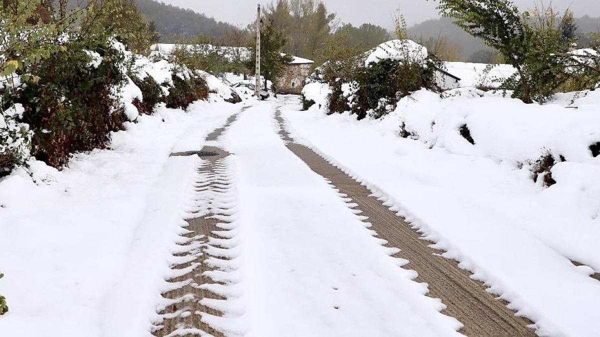 Carretera de montaña en la localidad palentina de Gramedo.