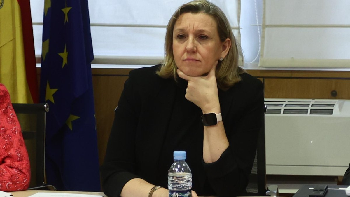 La vicepresidenta de la Junta y consejera, Isabel Blanco, participa por videoconferencia en la Conferencia Sectorial de Igualdad