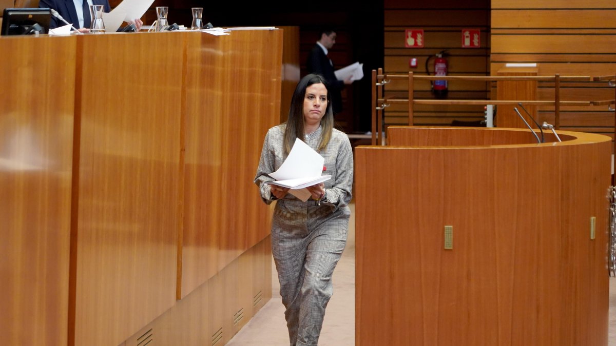 Nuria Rubio antes de defender la PNL del PSOE sobre violencia de género.