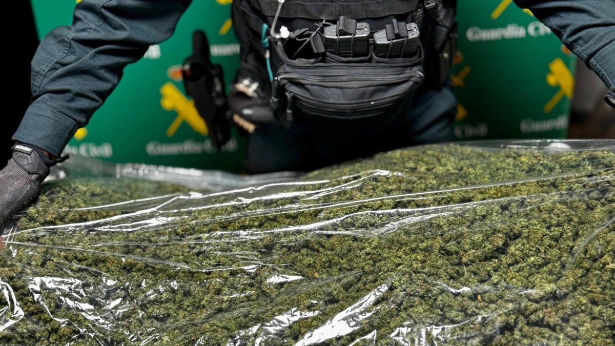 Cannabis incautado por la Guardia Civil