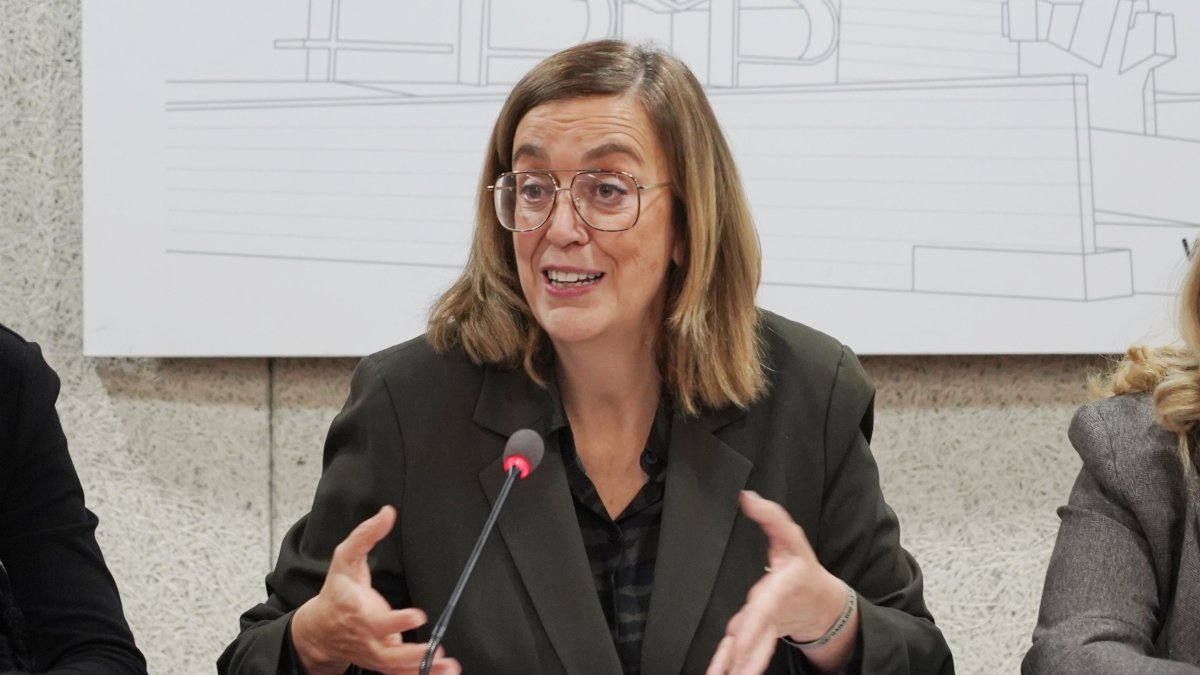 La presidenta provincial de la Diputación de Palencia, Ángeles Armisén