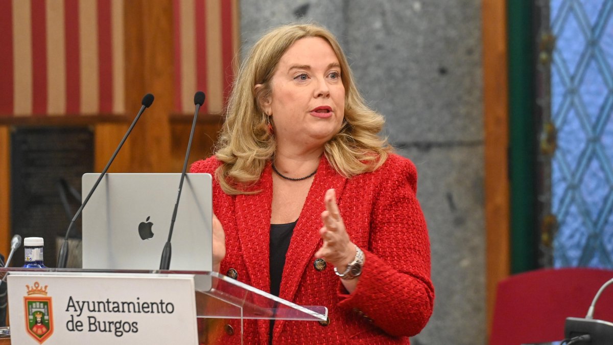 Cristina Ayala, en un momento del pleno extraordinario sobre la cuestión de confianza.