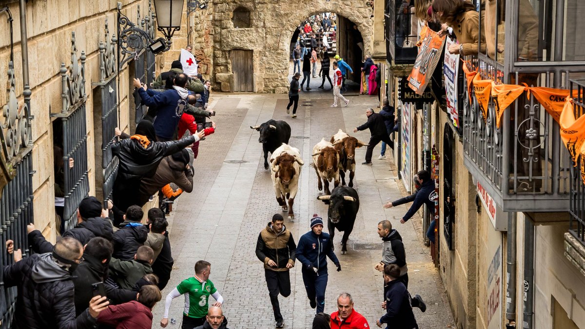 Carnaval del Toro en Ciudad Rodrigo (Salamanca)