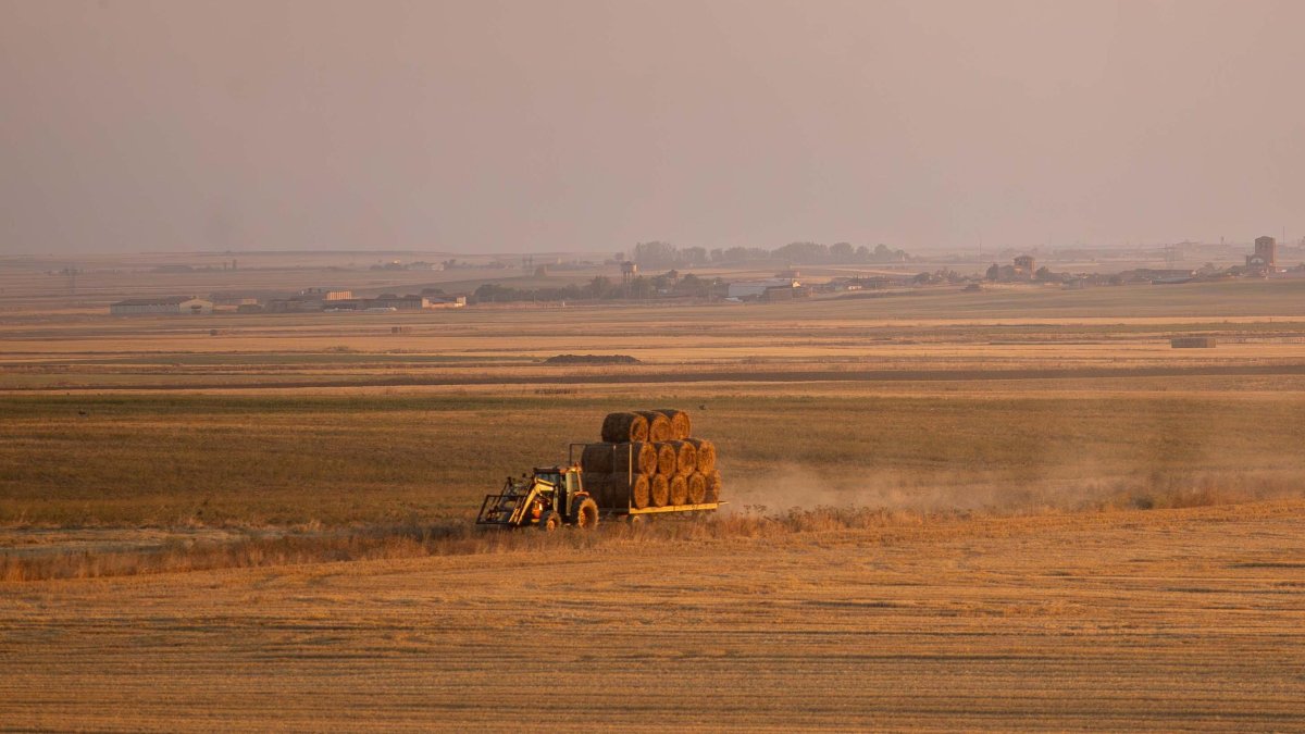 Tierras de cultivo de cereal en Tierra de Campos