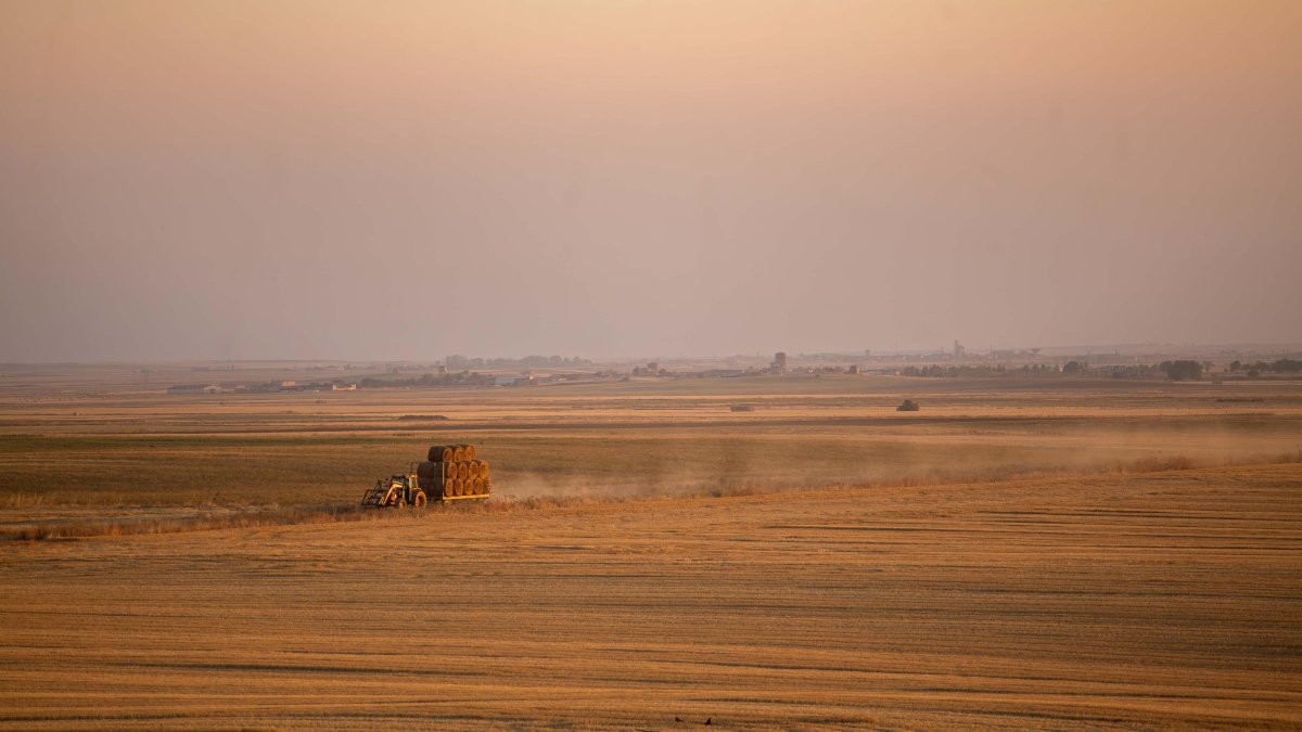 Tierras de cultivo de cereal en Tierra de Campos