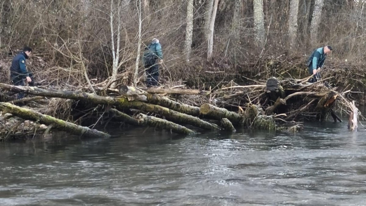 Los agentes buscan en el río Luna.