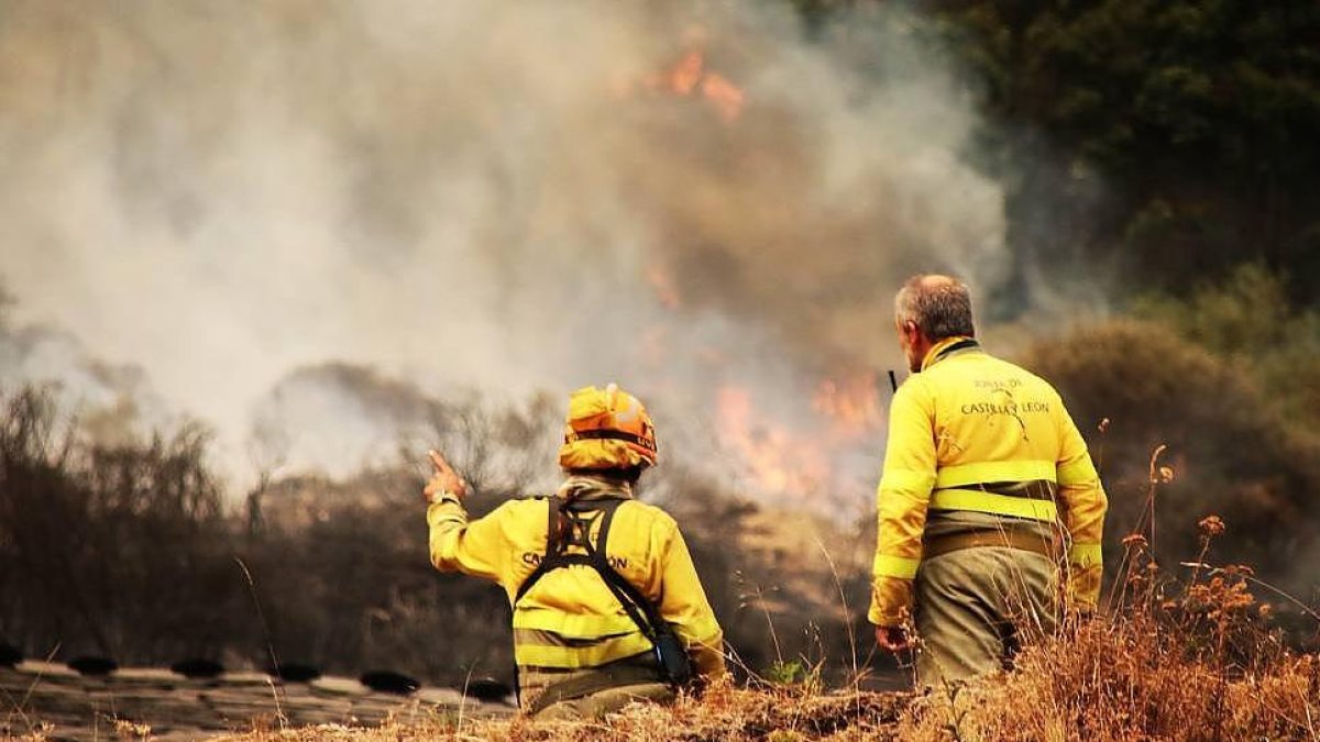 Dos agentes forestales en el operativo de un incendio de la provincia de León el pasado verano.
