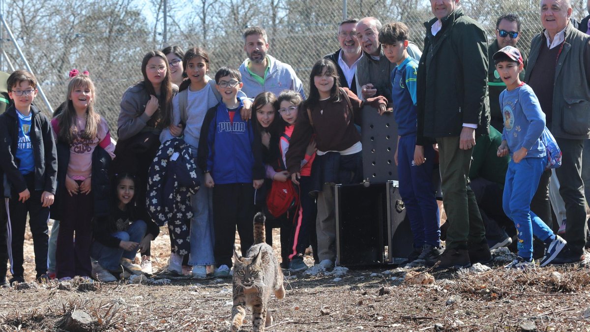 Un grupo de escolares contempla la suelta de Wilton, en presencia del Consejero de Medio Ambiente.