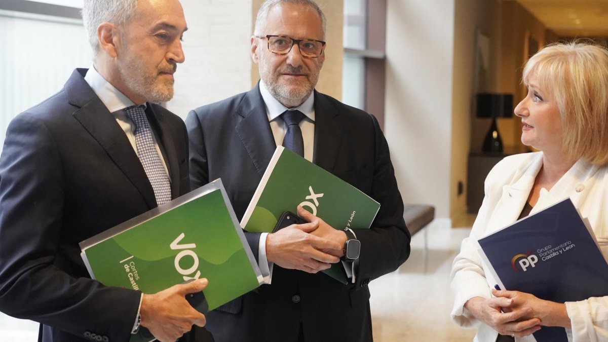 Alberto Díez Pico, Carlos Pollán y Leticia García, en una imagen de archivo en las Cortes.