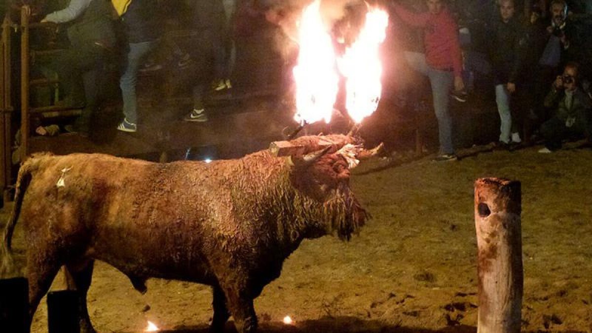 Imagen de archivo del Toro de Jubilo de Medinaceli.