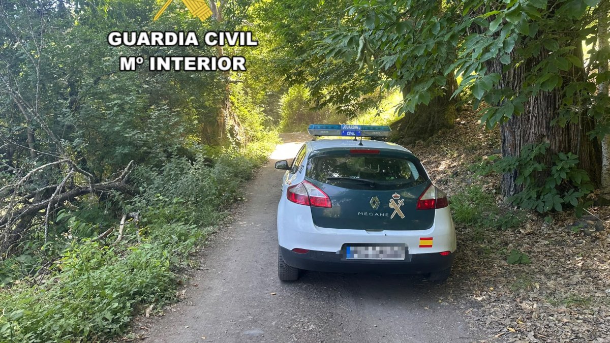 La Guardia Civil ha iniciado un dispositivo de búsqueda para localizar a un varón de 60 años que lleva desaparecido desde la tarde del miércoles en Páramo del Sil.