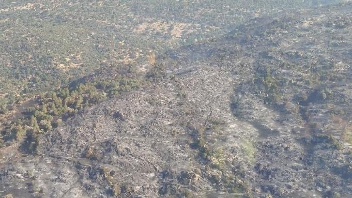 Incendio forestal en El Barraco (Ávila) tras bajar a nivel 1