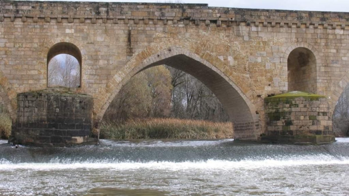 Puente de Piedra en Toro, donde se ahogó la adolescente.