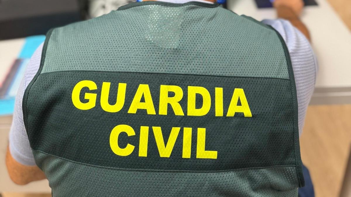 La Guardia Civil de Soria investiga a un conductor por falsedad documental