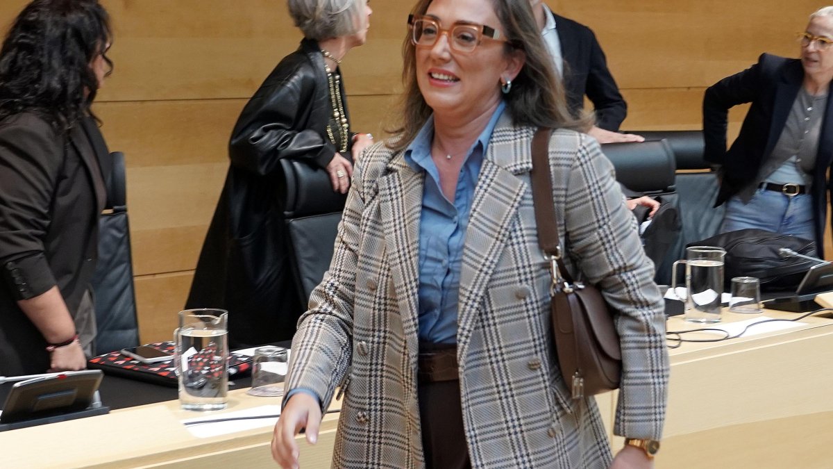 La consejera de Medio Ambiente y Energía, María González Corral, comparece ante la Comisión de Economía y Hacienda de las Cortes.