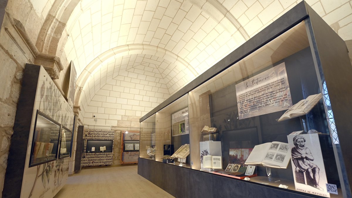 Museo del Libro de Covarrubias. ICAL