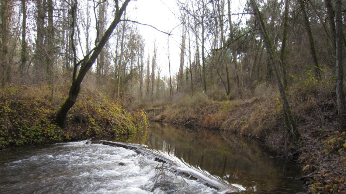 Río Cega. DURIUSAQUAE