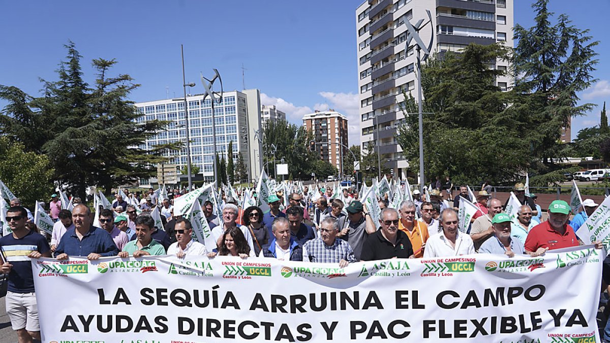Manifestación de agricultores y ganaderos en Valladolid, para reclamar ayudas por la sequía. ICAL
