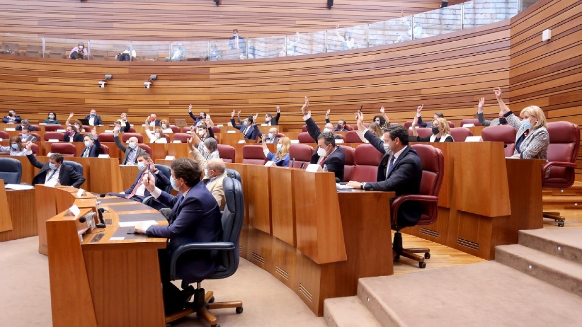 Segunda sesión del pleno de las Cortes de Castilla y León. - ICAL