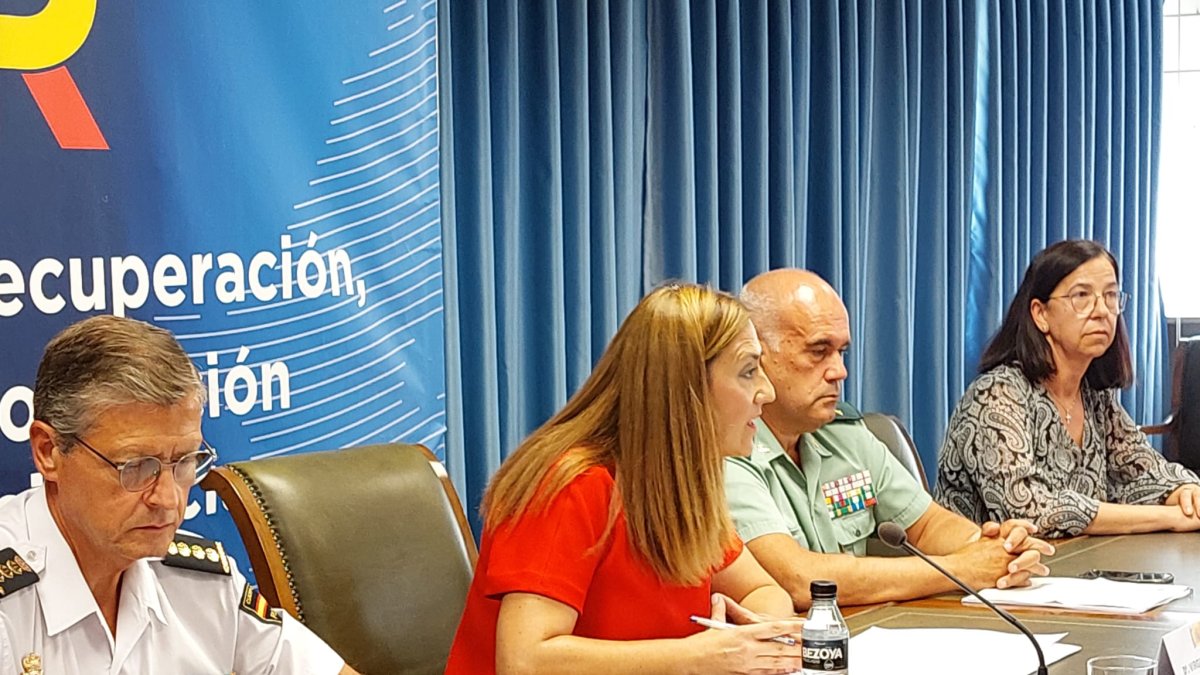 Virginias Barcones, en un momento de su comparecencia. E. M.