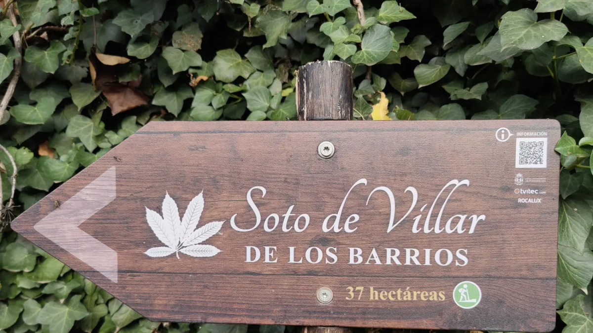 El bosque 'Soto de los Barrios' de Ponferrada - BOSQUE SIN FRONTERAS