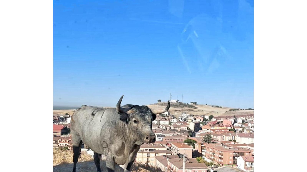 La villa de Cuéllar celebra el segundo encierro de sus fiestas en honor a la Virgen del Rosario, con toros de la ganadería de Partida de Resina.- ICAL
