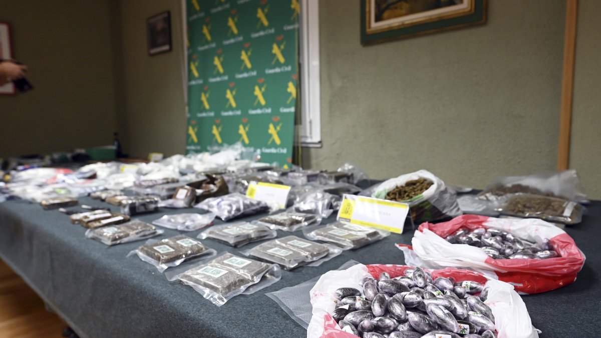 Operación 'LUBINABUR', presentada por la delegada del Gobierno en Castilla y León, Virginia Barcones. ICAL