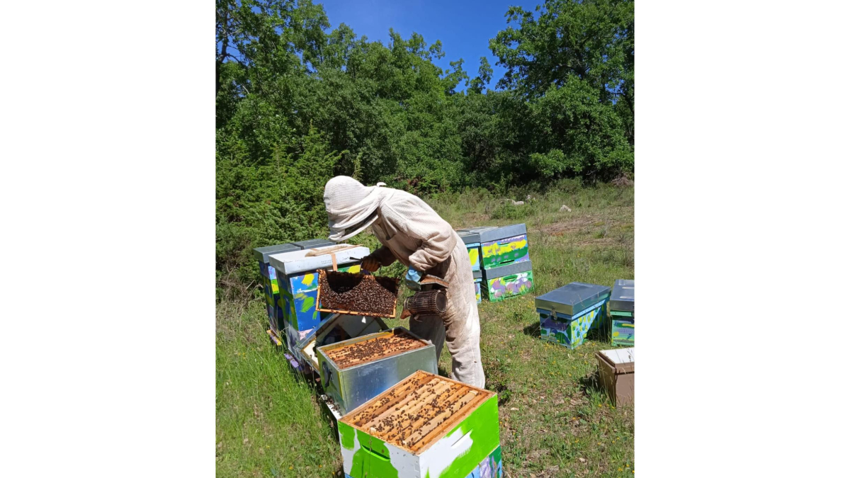 María del Río, responsable de Apicultura de COAG, trabajando en su explotación situada en Arconada de Bureba. / COAG
