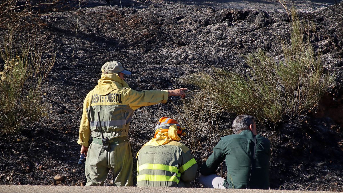 Medios terrestres trabajan en la extinción de un incendio en una imagen de archivo. ICAL