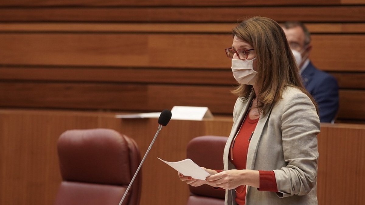 La procuradora de Vox, Fátima Pinacho. - ICAL