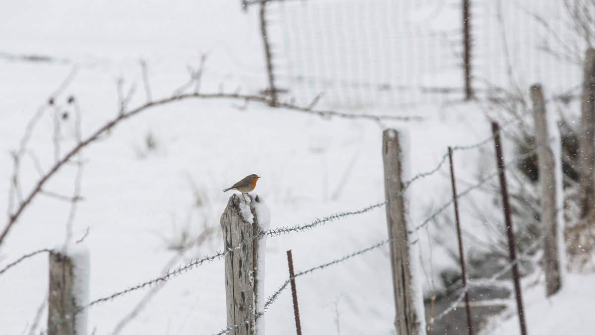 Nieve en la provincia de León.- ICAL