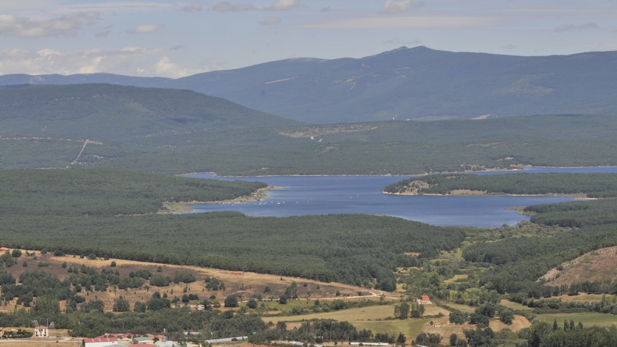 Detalle de la comarca dePinares, la mayor masa forestal contínua de España. HDS