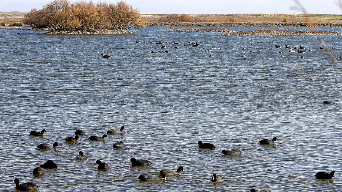 Lagunas de Villafáfila, al noroeste de Zamora. / L. P.