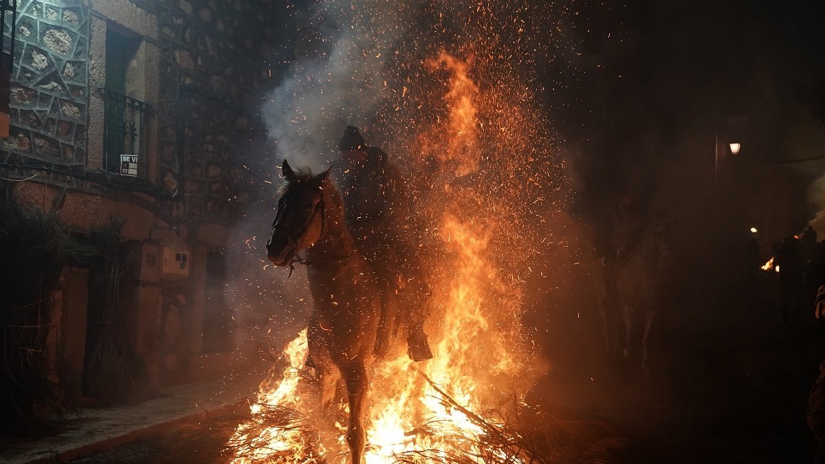 Vídeo de las redes sociales de PACMA
