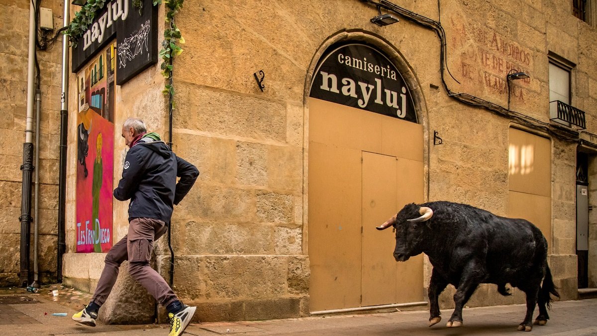 Carnaval del Toro de Ciudad Rodrigo en Salamanca.- ICAL